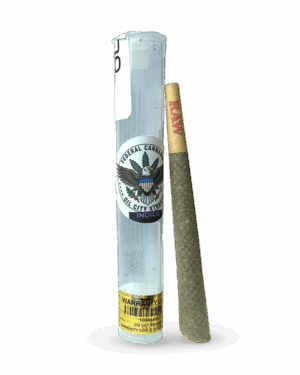 75ct Pre-Rolls (1.25g King Size)