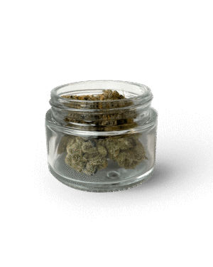 White Runtz (Exotic Big Buds, Federal Cannabis)